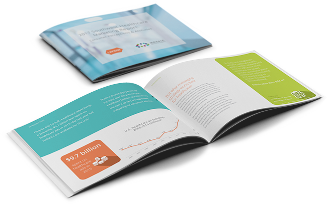 Healthcare Industry Marketing Report cover and inside pages