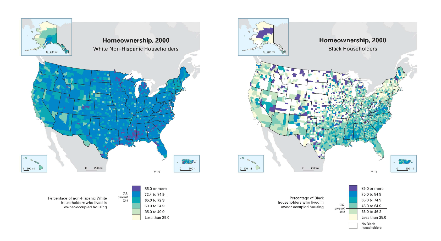 U.S. Census graphic on multicultural housing trends 3