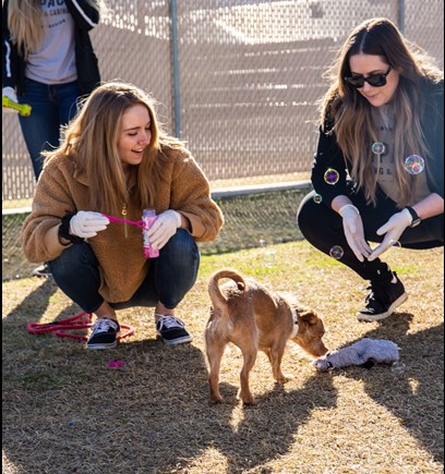 Morgan Clark and Jenn Monroy entertain Havanna with bubbles while volunteering through LAVIDGE IMPACT for the Arizona Humane Society's facility in southwest Phoenix.