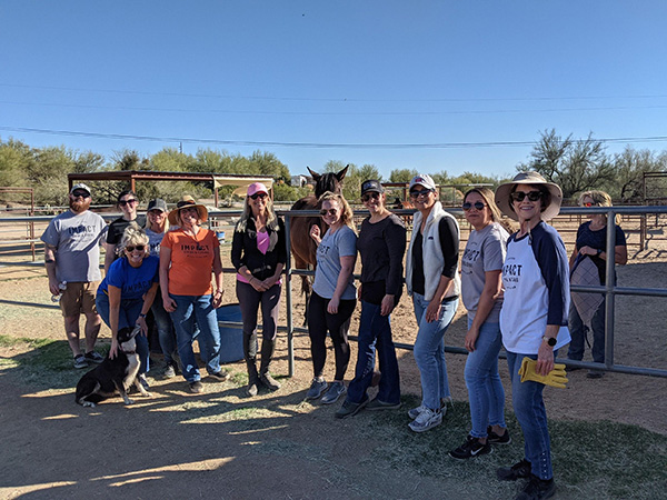 LAVIDGE IMPACT helped After the Homestretch-Arizona care for its rescued ex-racehorses by volunteering to muck up horse stalls, pitch hay, and mix up specially prepared food with just the right minerals and vitamins.