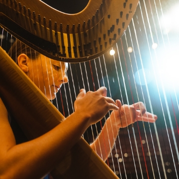 Harp Thumbnail